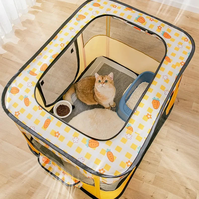 Cat Delivery Room - House
