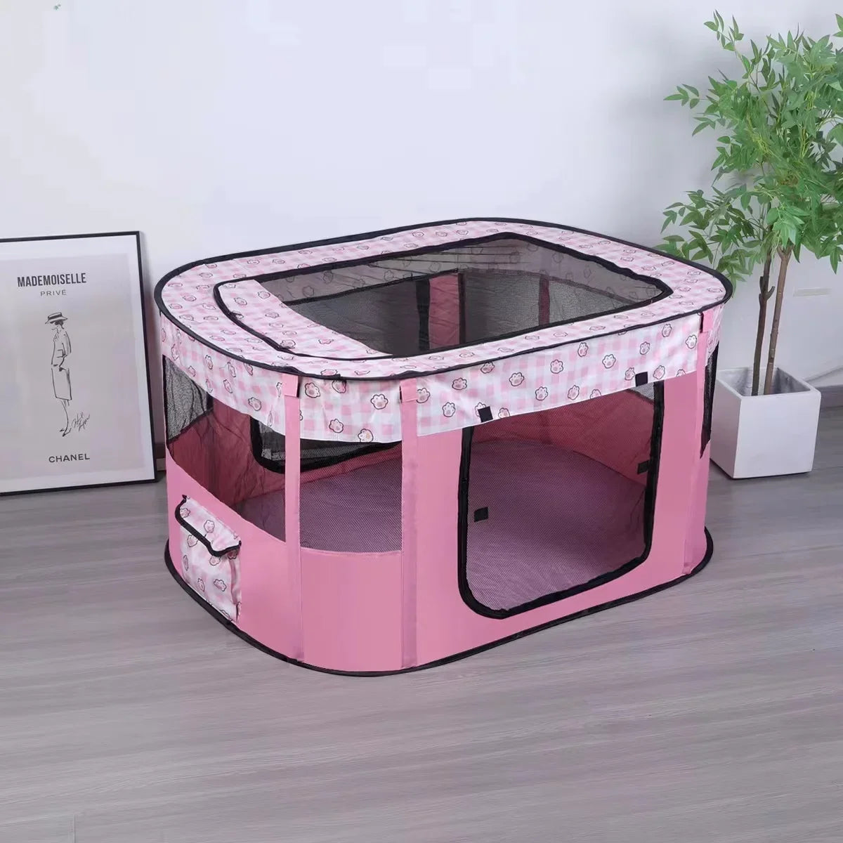 Cat Delivery Room - House