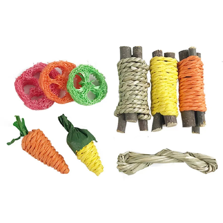 Small Animal Tooth Grinding Snacks