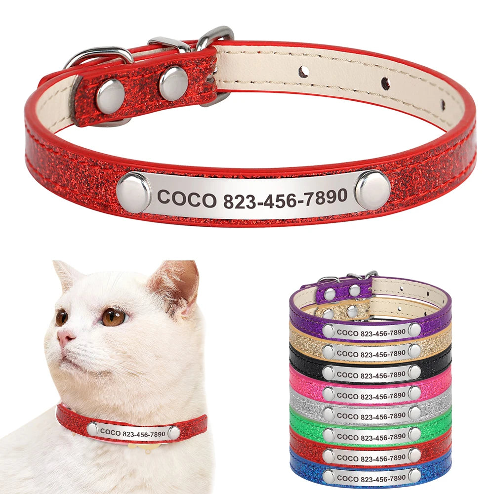 Custom Pet Collar With Engraved ID Nameplate