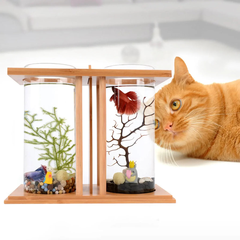 Aquarium Set with LED Light for Desktop Home Office Decoration 2 Tanks