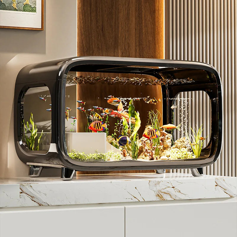 Creative transparent fish tank