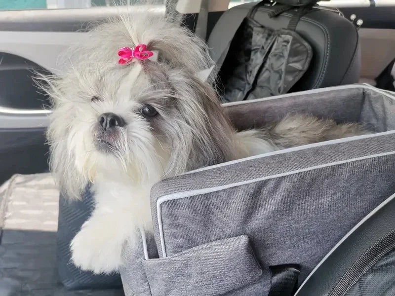 Portable Dog - Cat Car Seat