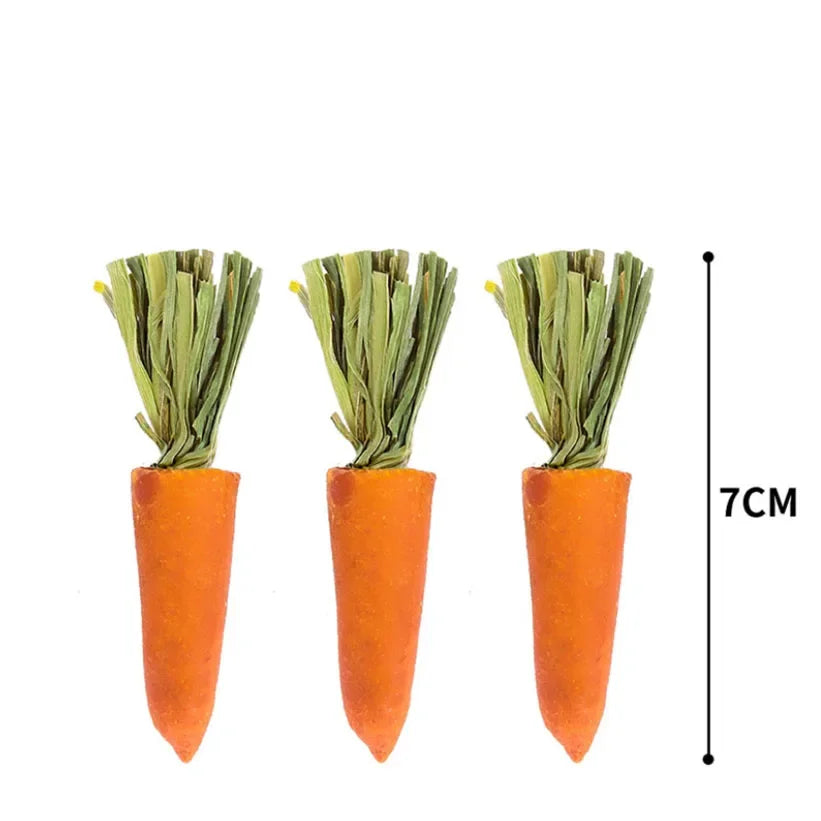 3pcs Guinea Pig Hamster Rabbit Teeth - Grinding Molar Stone Chew Toys