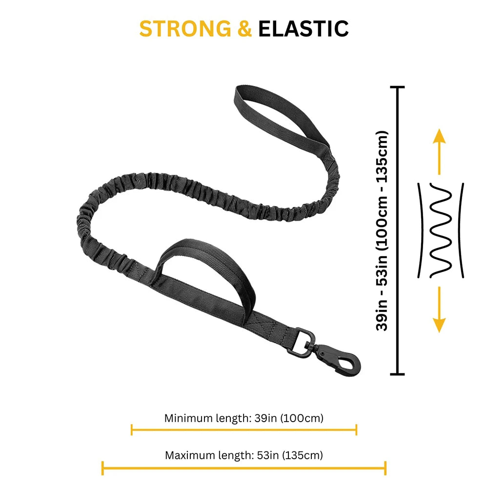 Large Dog Harness, Collar, And Leash Set for Training Walking