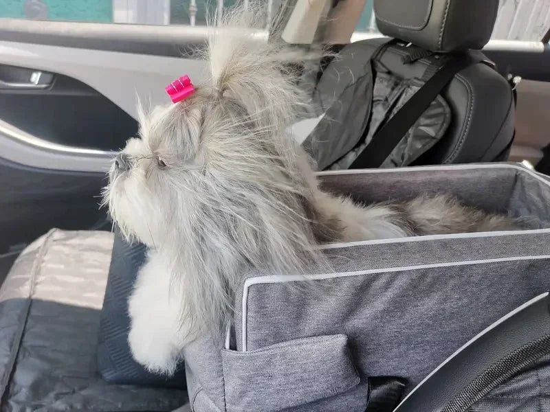 Portable Dog - Cat Car Seat