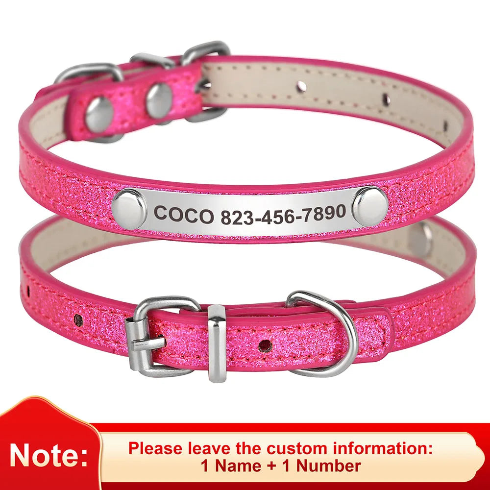 Custom Pet Collar With Engraved ID Nameplate