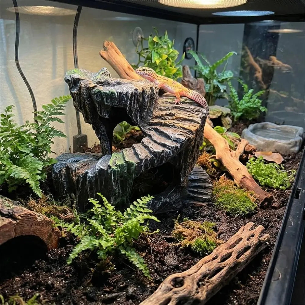 Sturdy Non-Toxic Resin Turtle Basking Platform