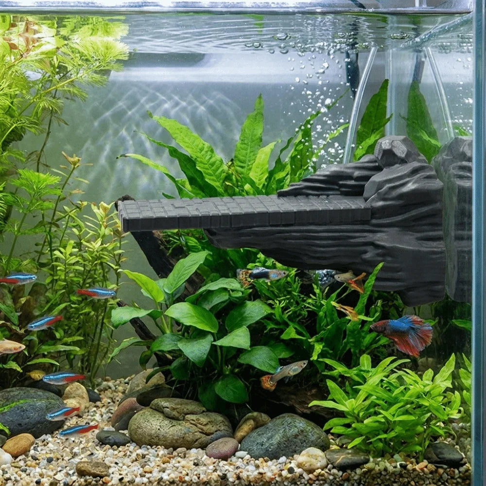 Realistic Natural Landscapes For Fishtanks or Terrariums