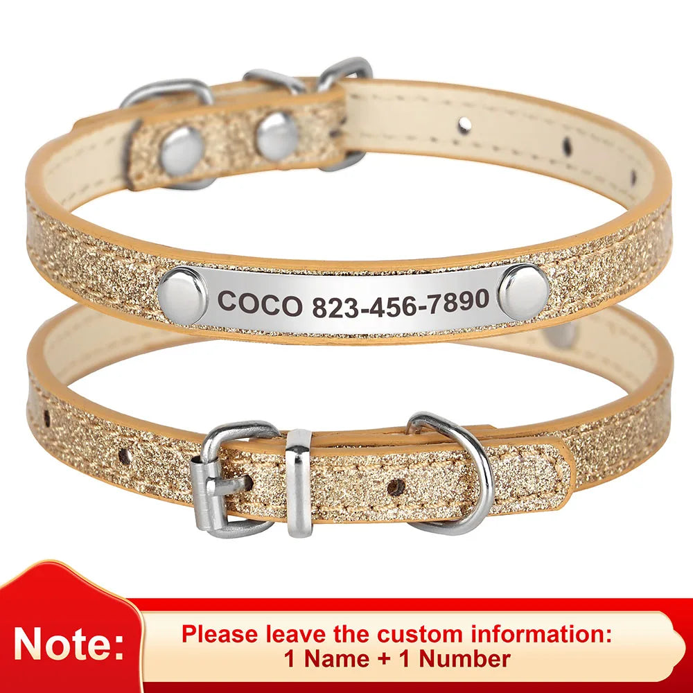 Custom Pet Collar With Engraved ID Nameplate