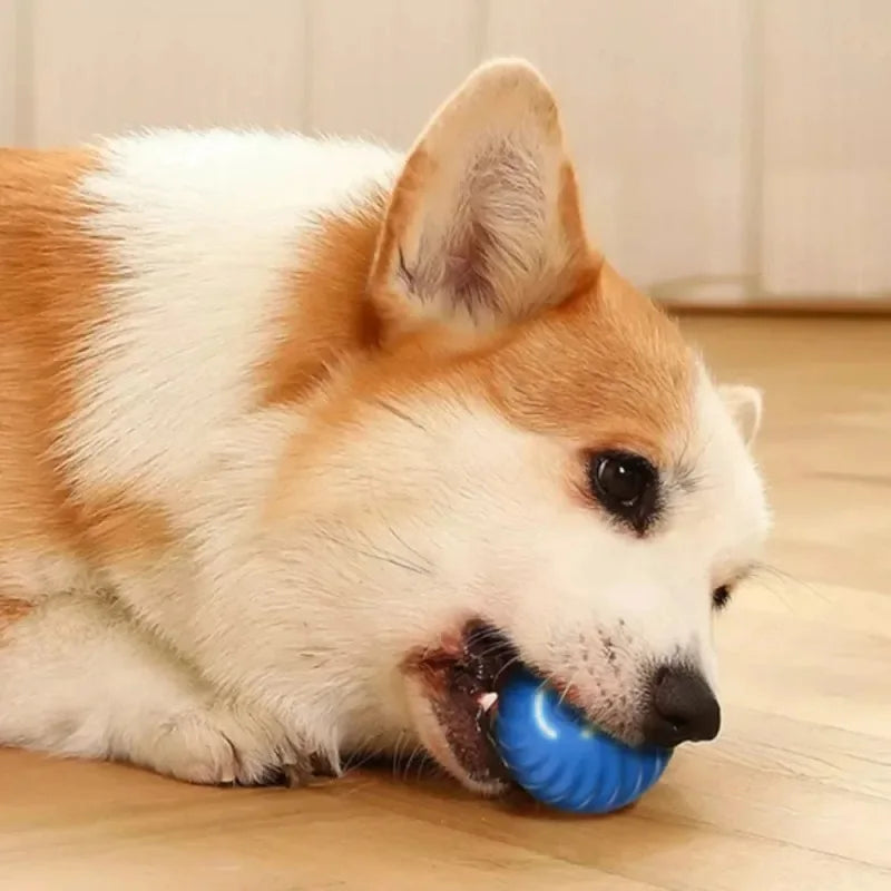 Automatic Moving Bouncing Rolling Ball Dog Toy