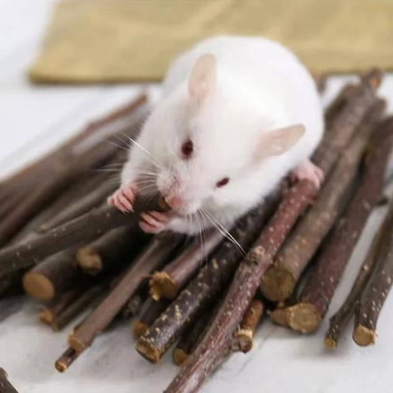 Small Animal Play Toys