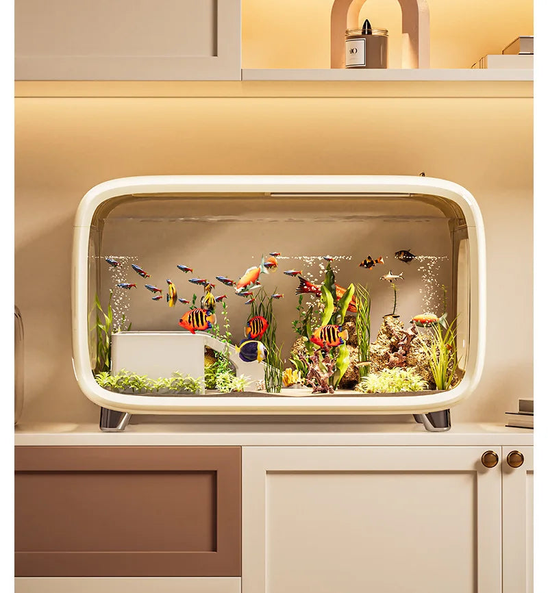 Creative transparent fish tank