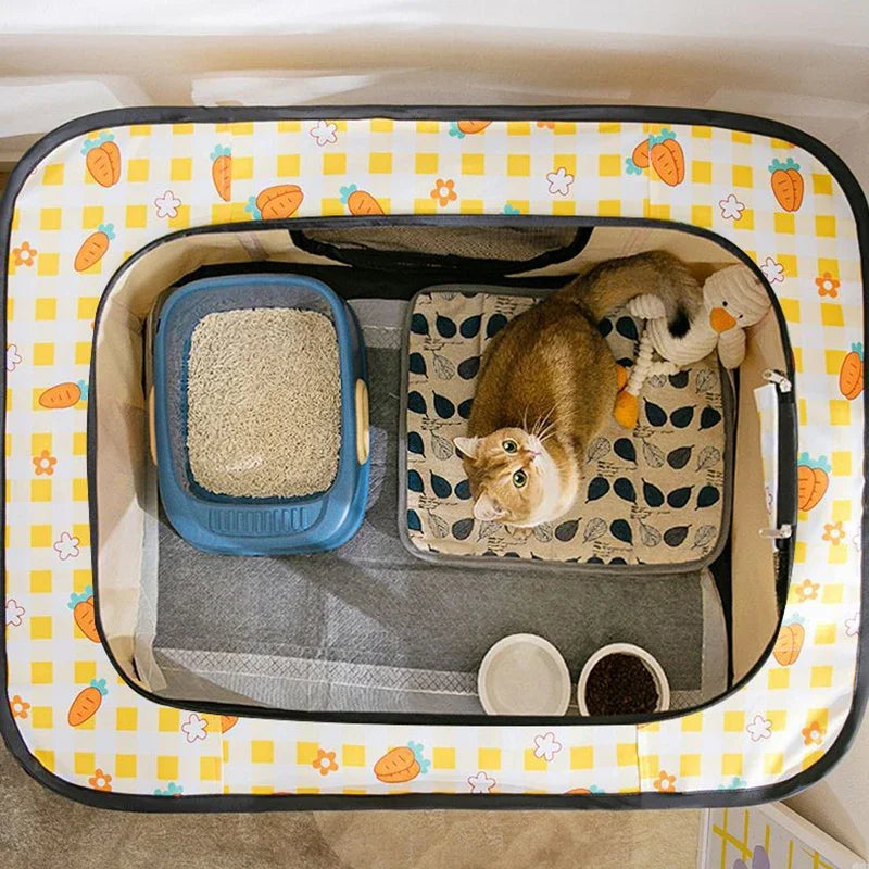 Cat Delivery Room - House