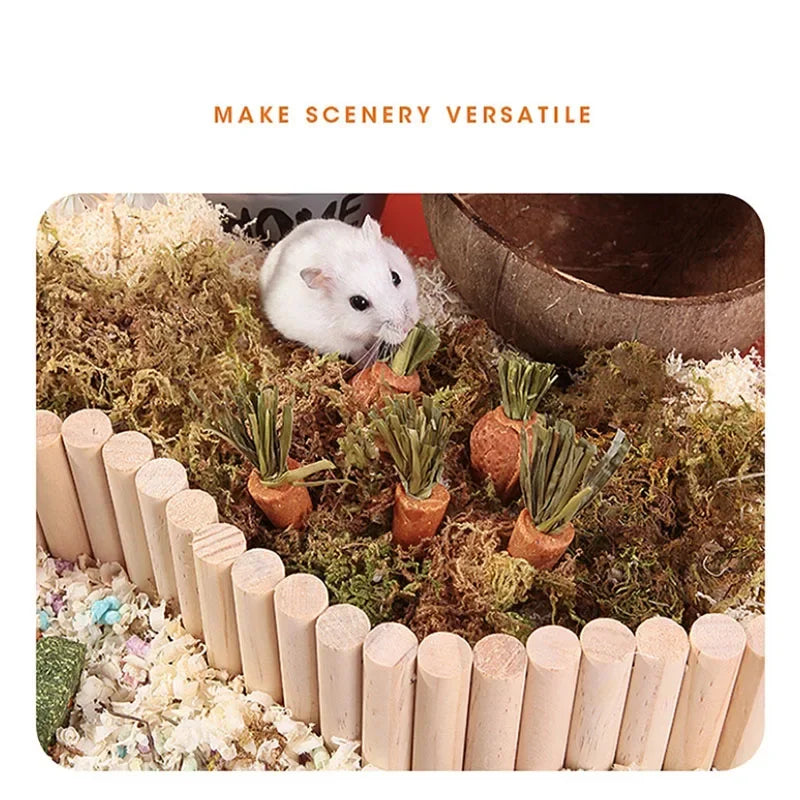 3pcs Guinea Pig Hamster Rabbit Teeth - Grinding Molar Stone Chew Toys