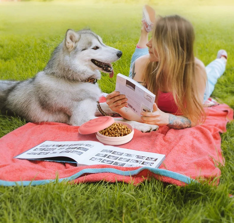 Portable Outdoor Pet Bowl: 2-in-1 Food/Water Dish with Treat Compartment