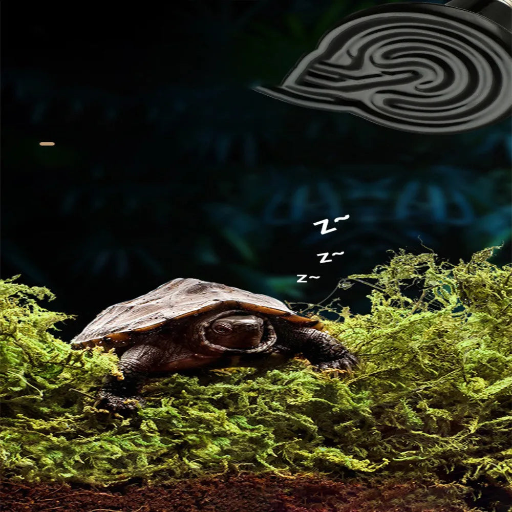 1PC Reptile Box Ceramic Heating Lamp for Reptile Pets, Tortoise, Lizard, Snake