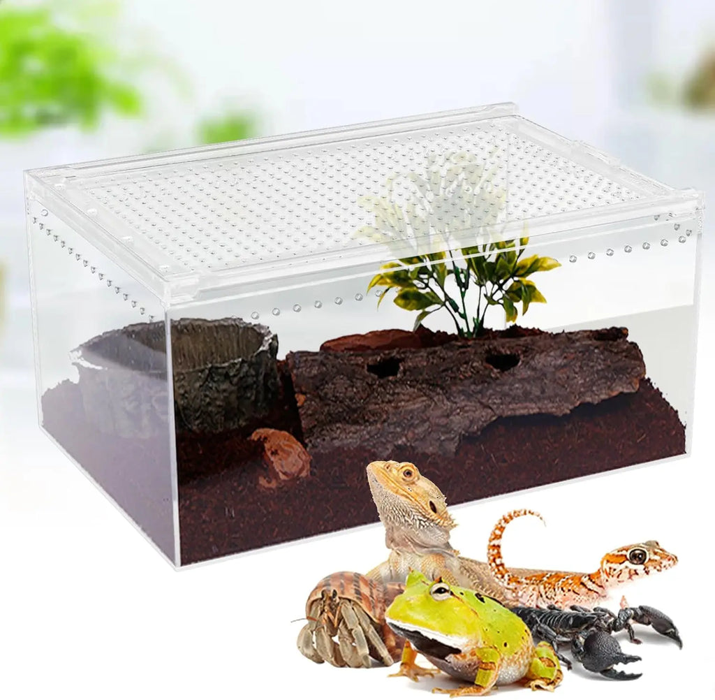 Magnetic Clear Acrylic Large Enclosure 2.5 Gallon Terrarium Cage
