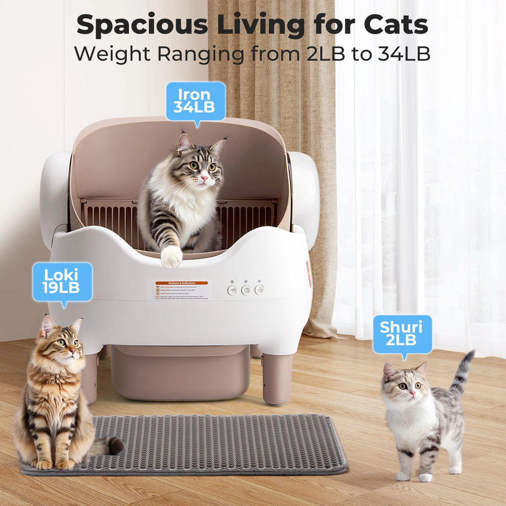 Self Cleaning Automatic Cat Litter Box with APP Control, Odor-Free  Large Waste Bin, Open-Top