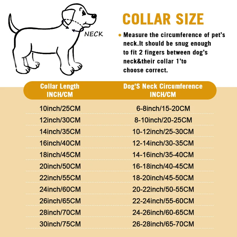 Heavy Duty  Anti-Rust Dog Training Collars