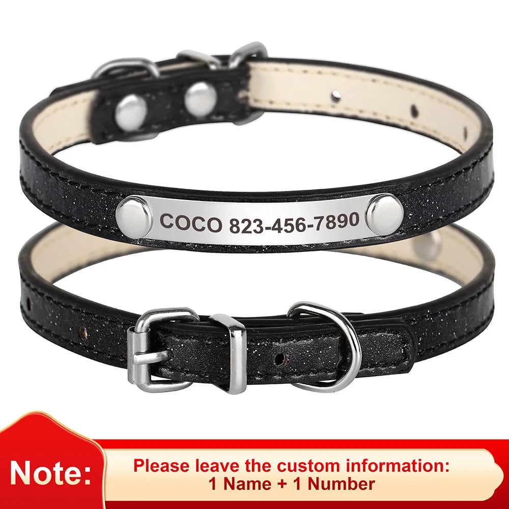 Custom Pet Collar With Engraved ID Nameplate
