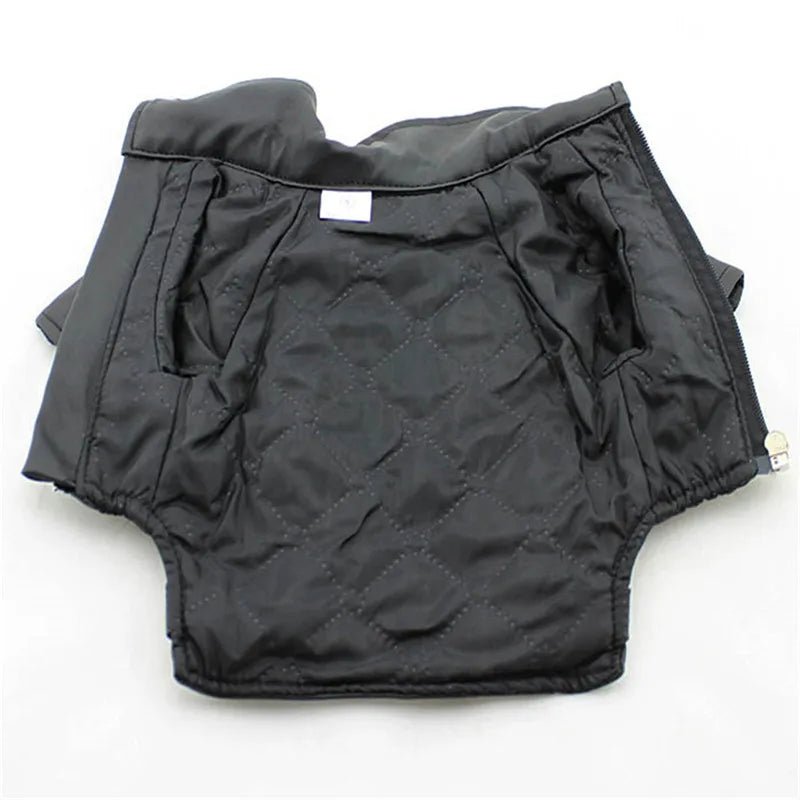Eagle Pattern PU Leather Dog Jacket