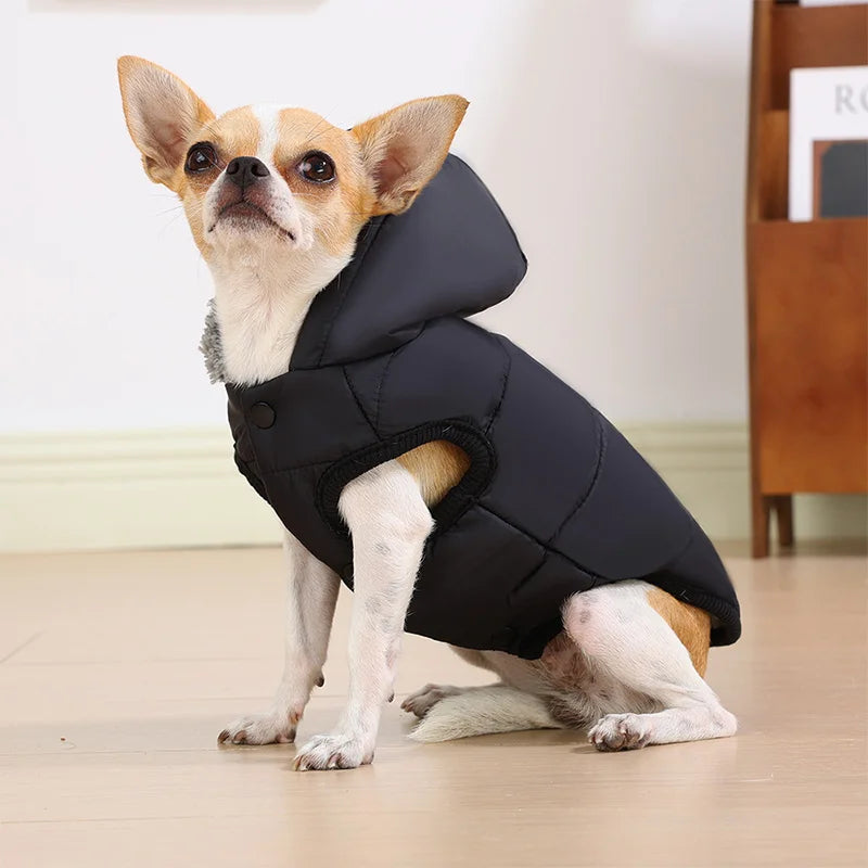 New Autumn And Winter Dachshund Parka Costume