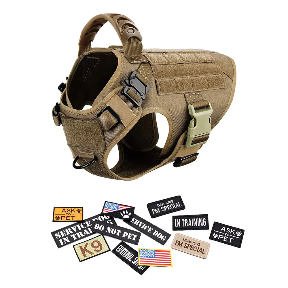 Large M Tactical Military-Like Dog Harness, Collar, Leash, Bags, Patches Set