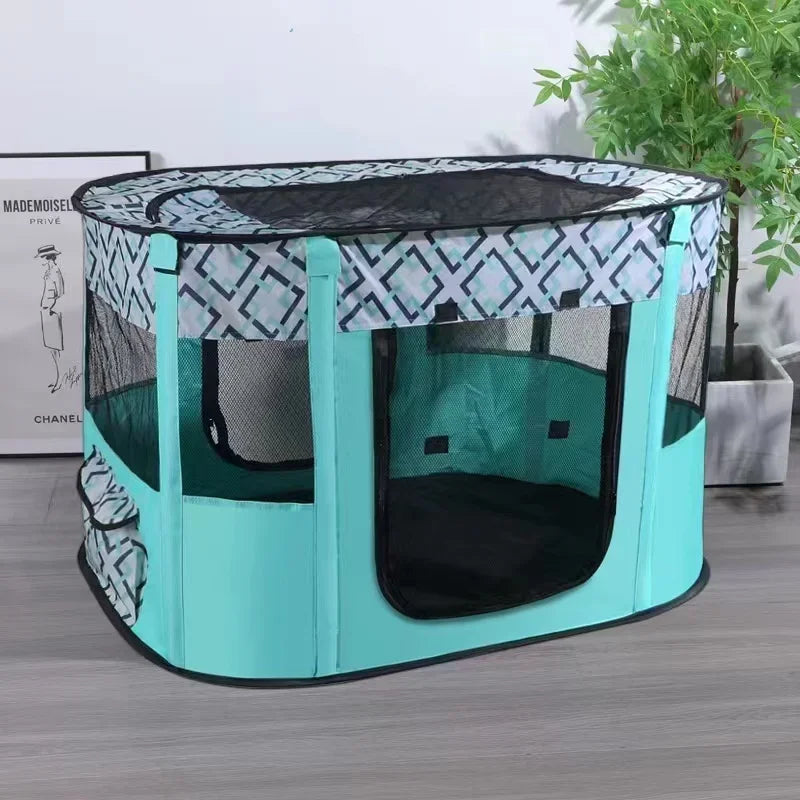 Cat Delivery Room - House