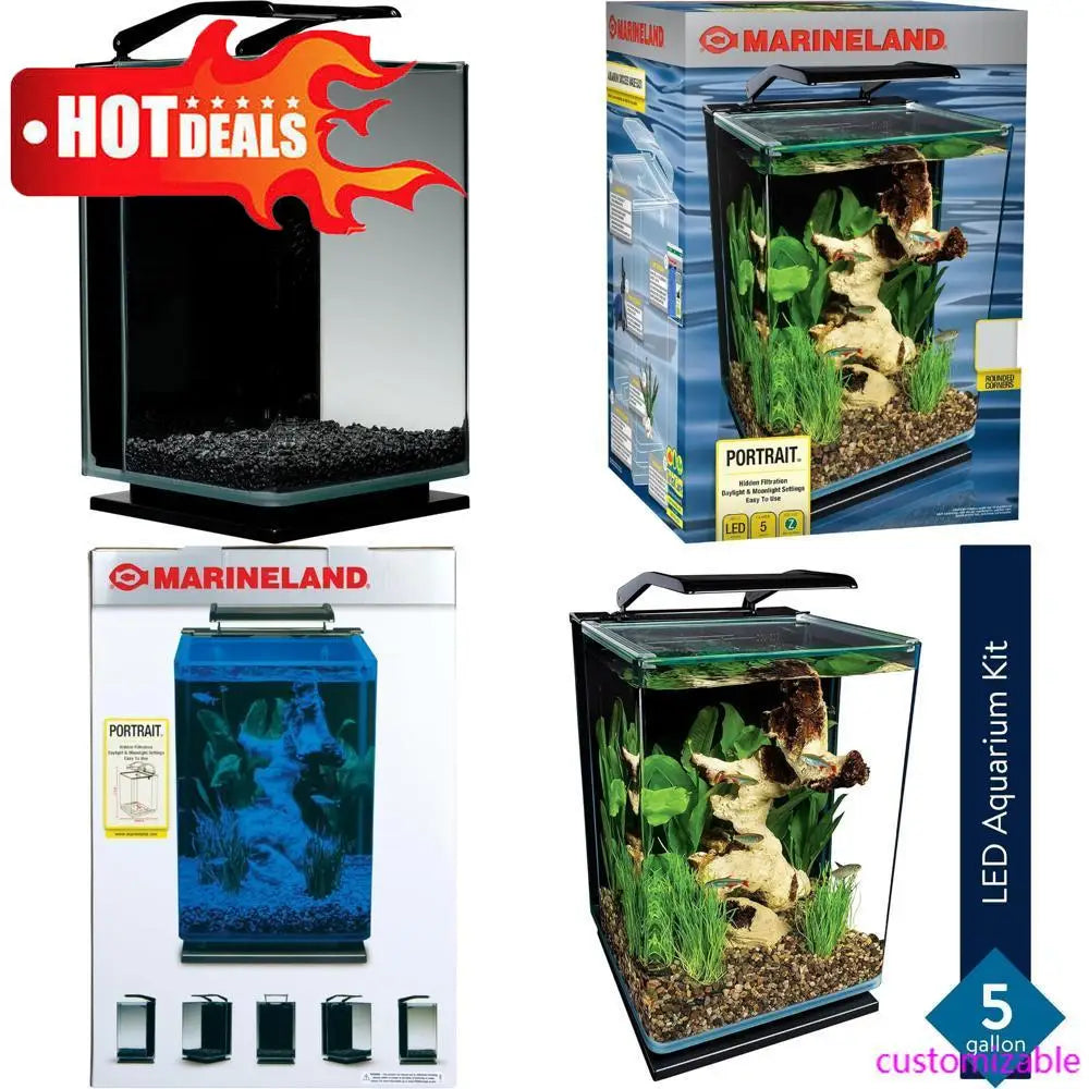 5 gallon black led-illuminated glass aquarium with stealth filtration system