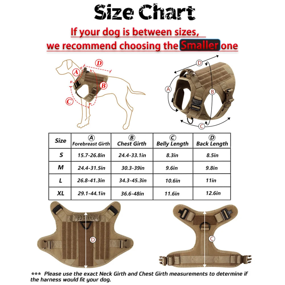 Large Dog Harness, Collar, And Leash Set for Training Walking