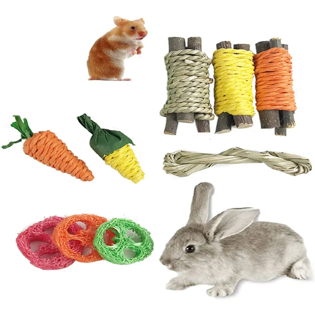 Small Animal Tooth Grinding Snacks