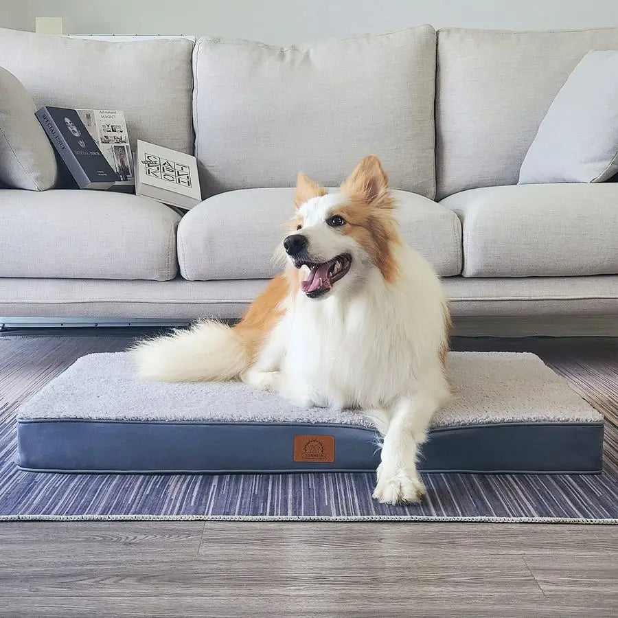 XL Orthopedic Memory Foam Pet Beds with Removable Washable Cover and Nonskid Bottom