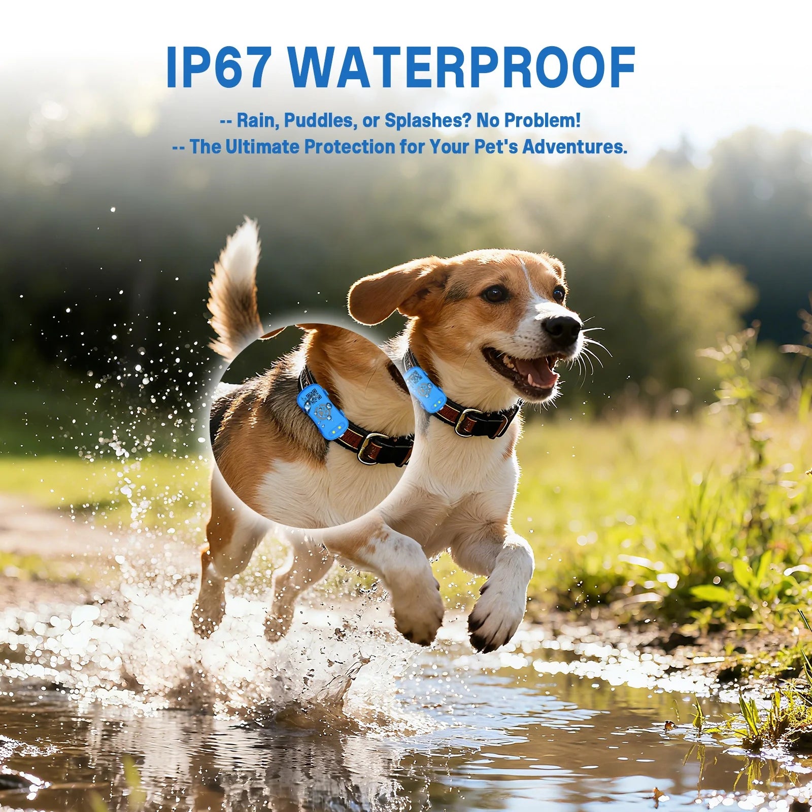 Pet Anti-Lost GPS Tracker Dog or Cat Collar