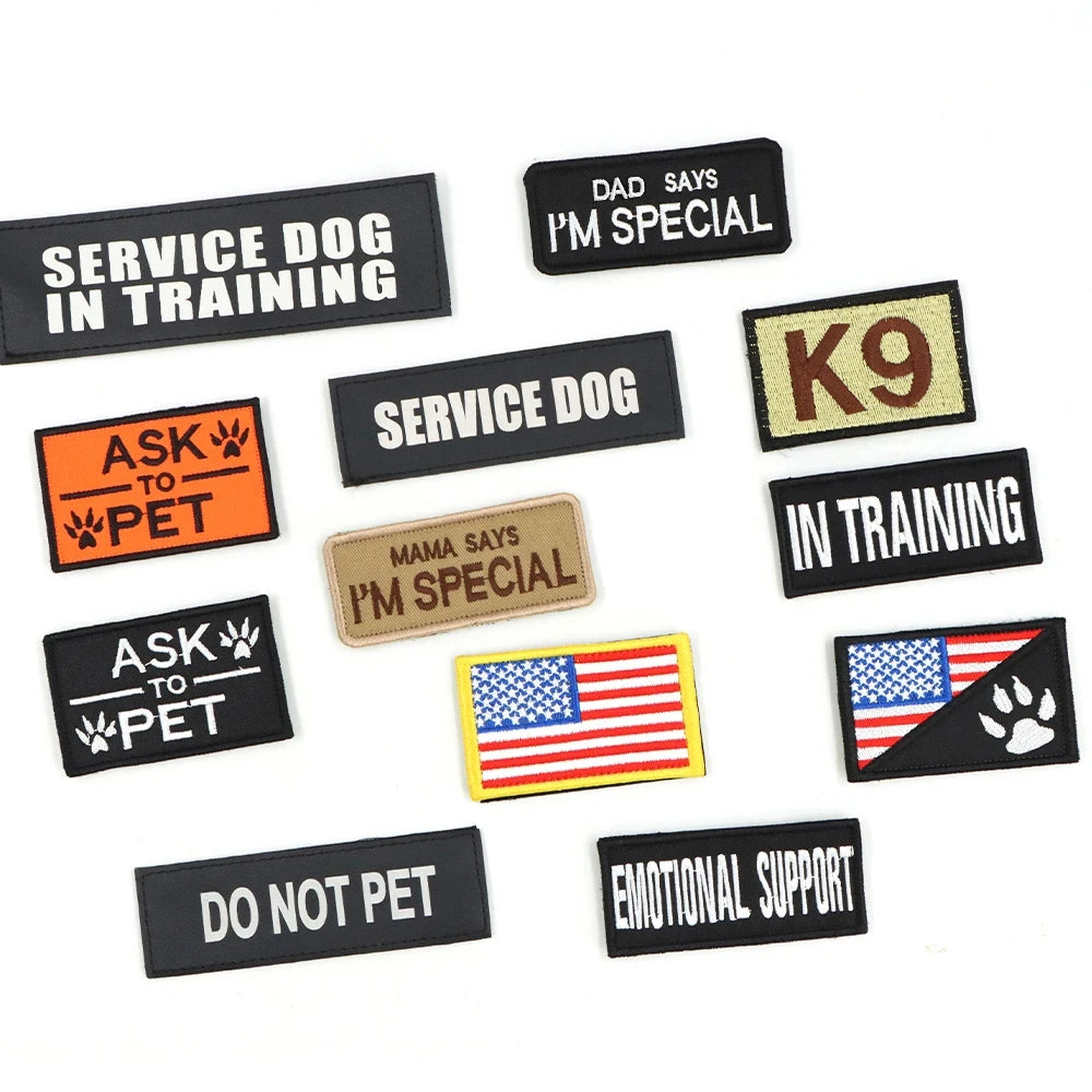 Large M Tactical Military-Like Dog Harness, Collar, Leash, Bags, Patches Set