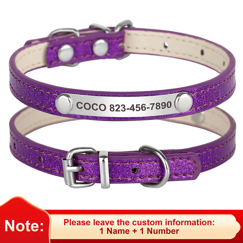 Custom Pet Collar With Engraved ID Nameplate