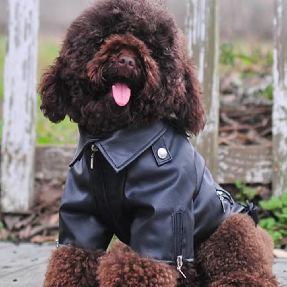 Eagle Pattern PU Leather Dog Jacket