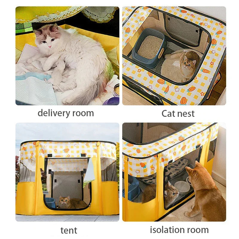 Cat Delivery Room - House