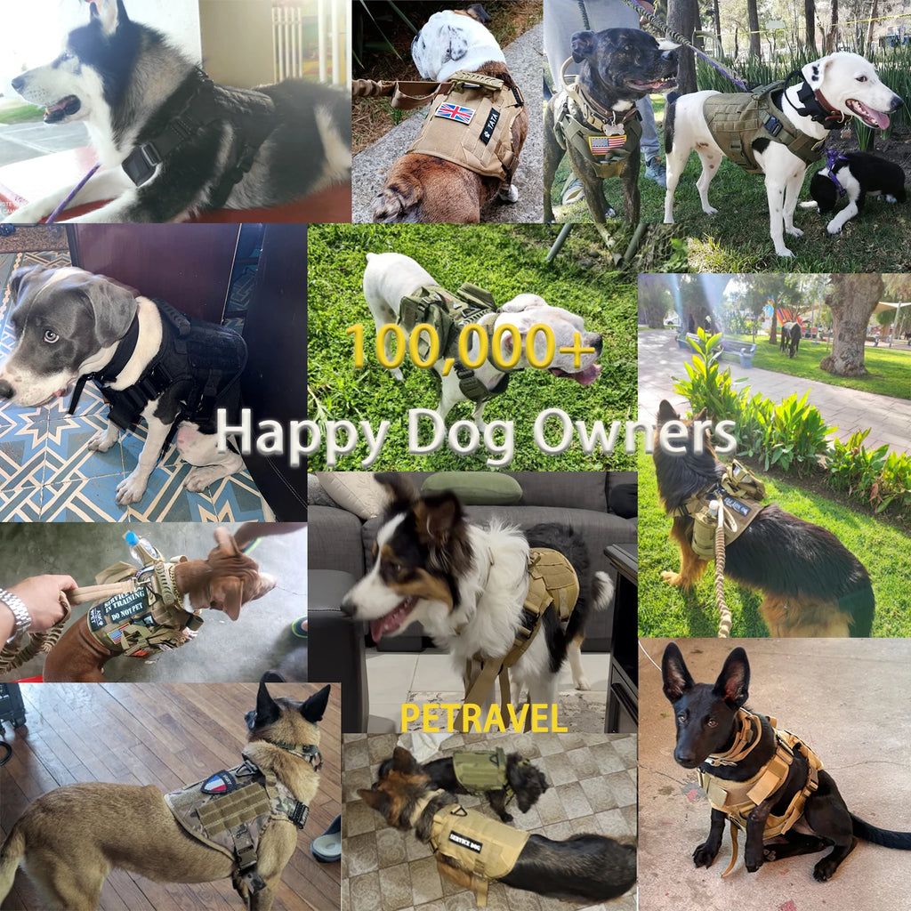 Tactical Dog Harness, Collar, Leash, Molle Pouches