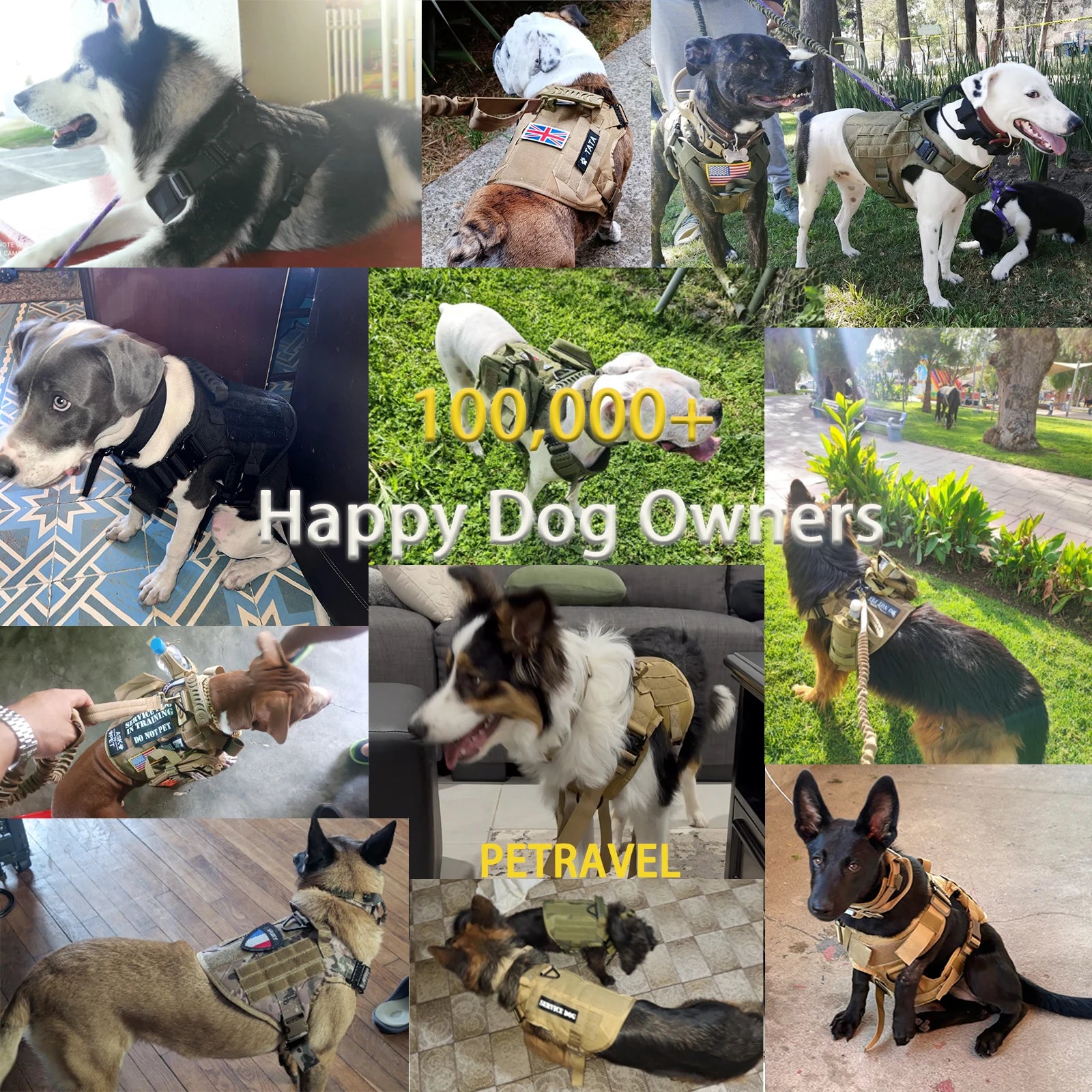 Tactical Dog Harness, Collar, Leash, Molle Pouches