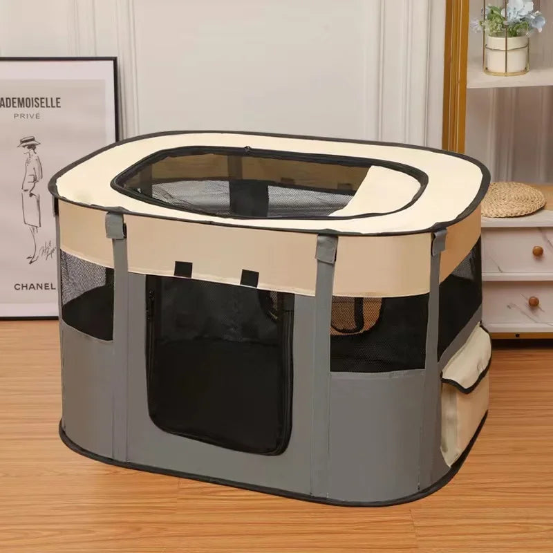 Cat Delivery Room - House