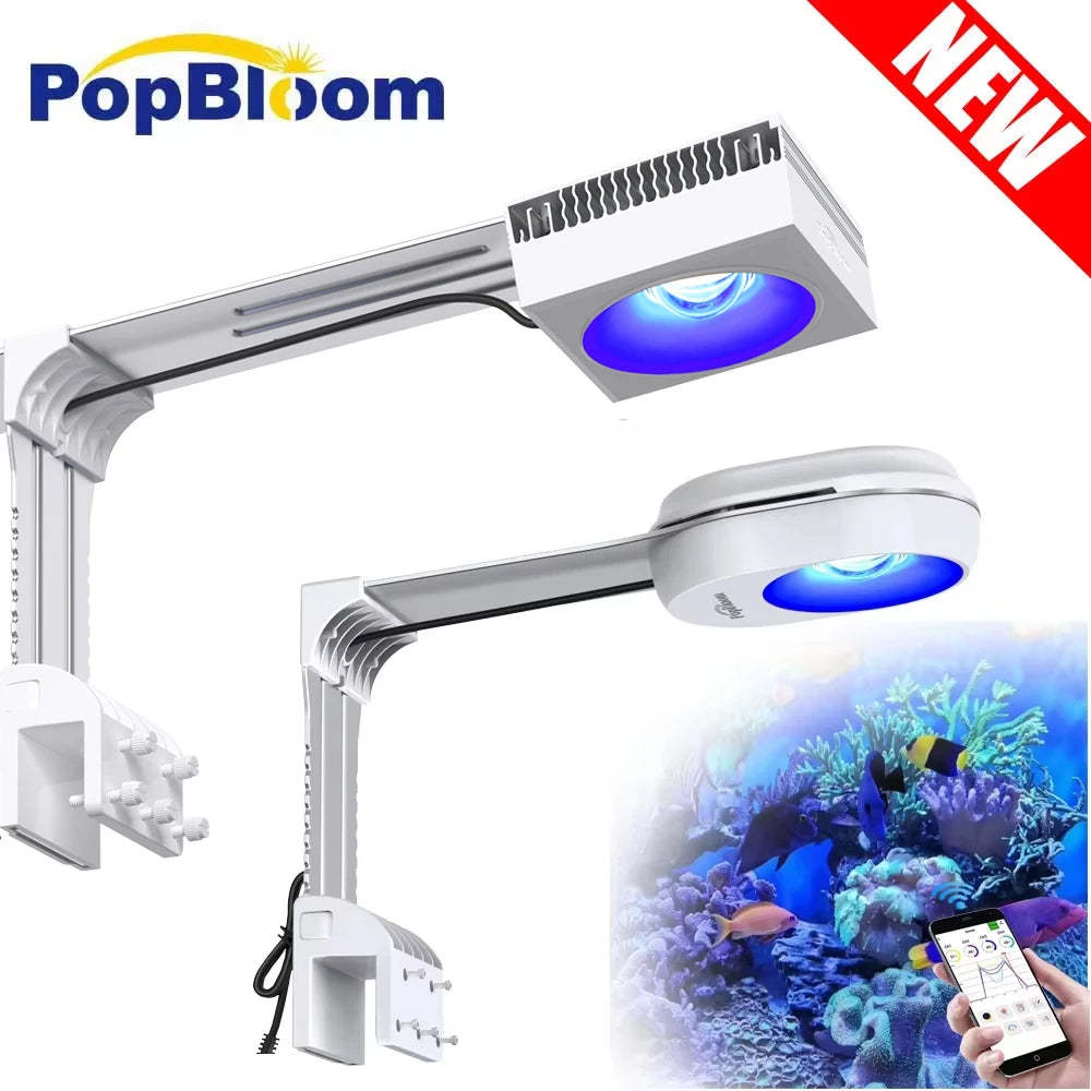 Pixie 30 Program LED Lights Aquarium Lighting Nano Fish Tank Light for Saltwater Seawater Freshwater Lamp