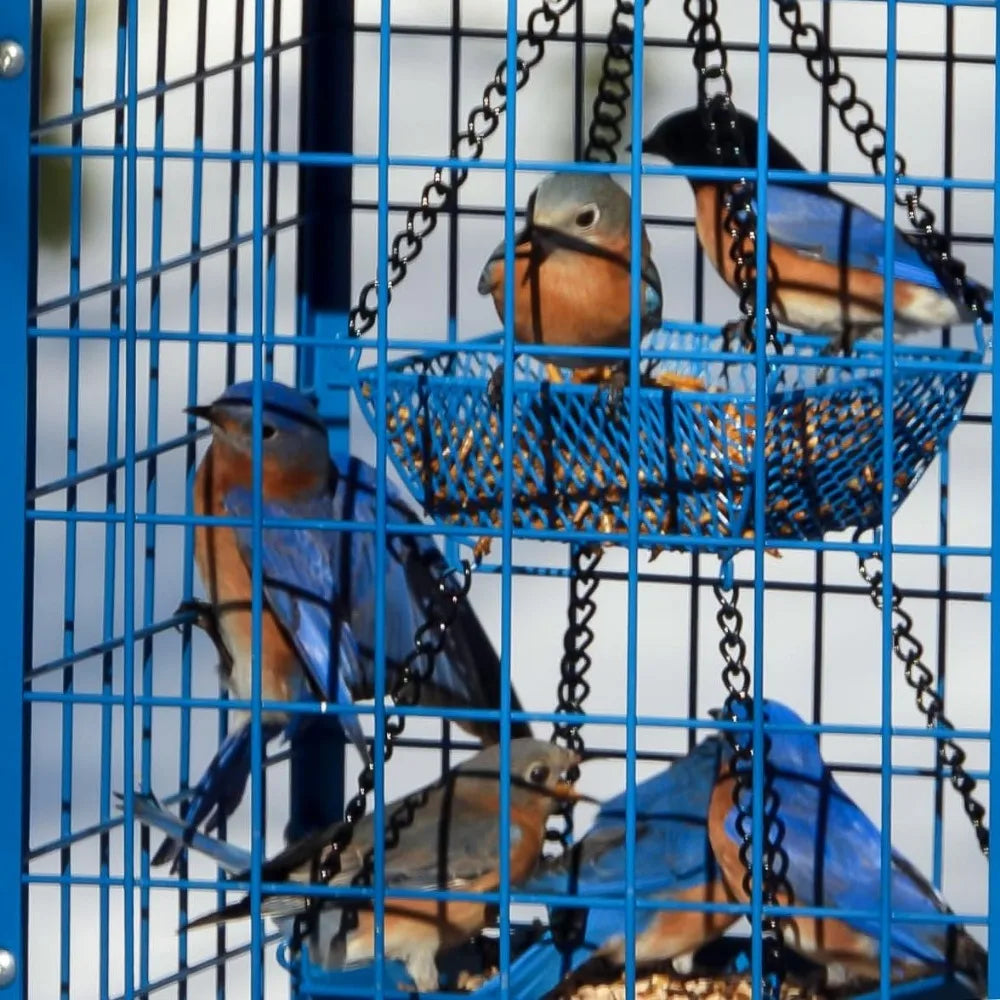 Squirrel-Proof Caged Bird Feeder with 2 Cups