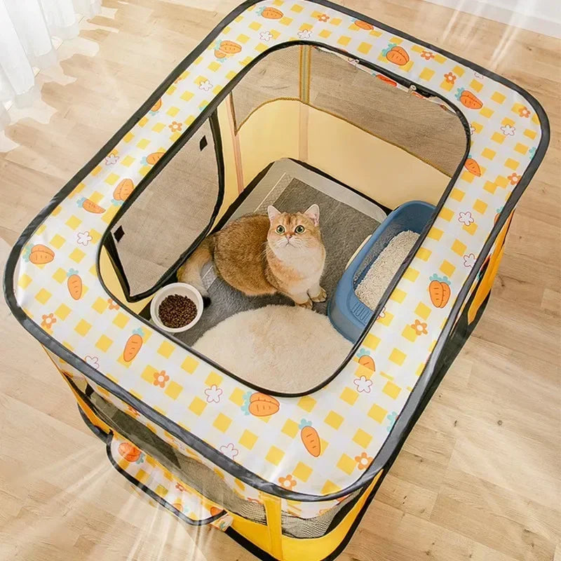 Cat Delivery Room - House
