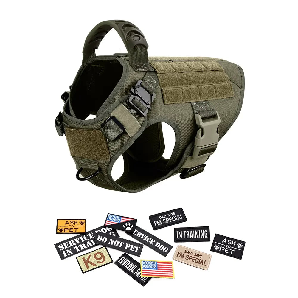 Large M Tactical Military-Like Dog Harness, Collar, Leash, Bags, Patches Set