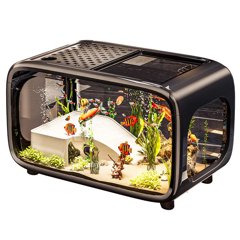 Creative transparent fish tank