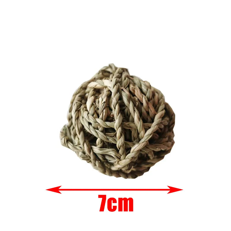 Small Animal Play Toys