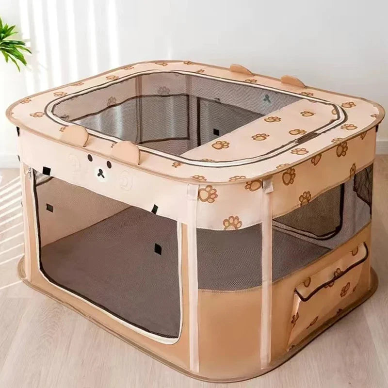 Cat Delivery Room - House