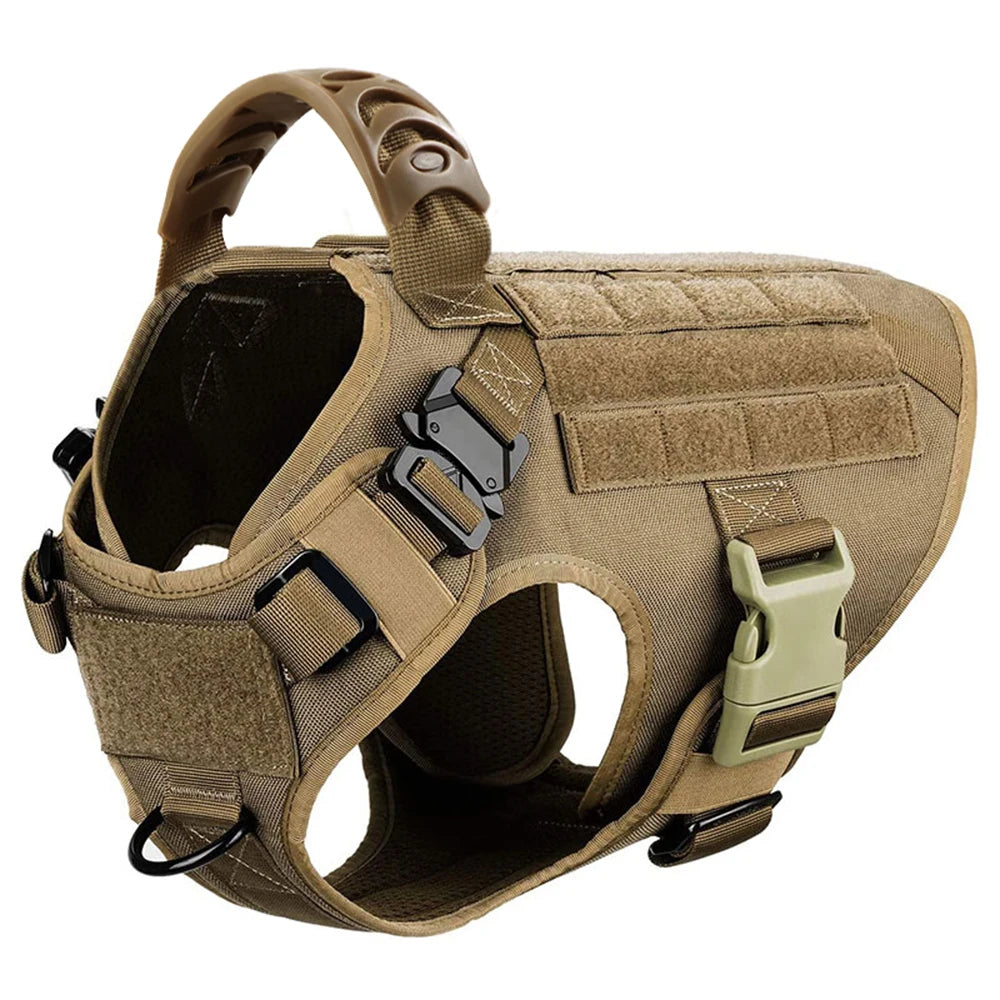 Large Dog Harness, Collar, And Leash Set for Training Walking