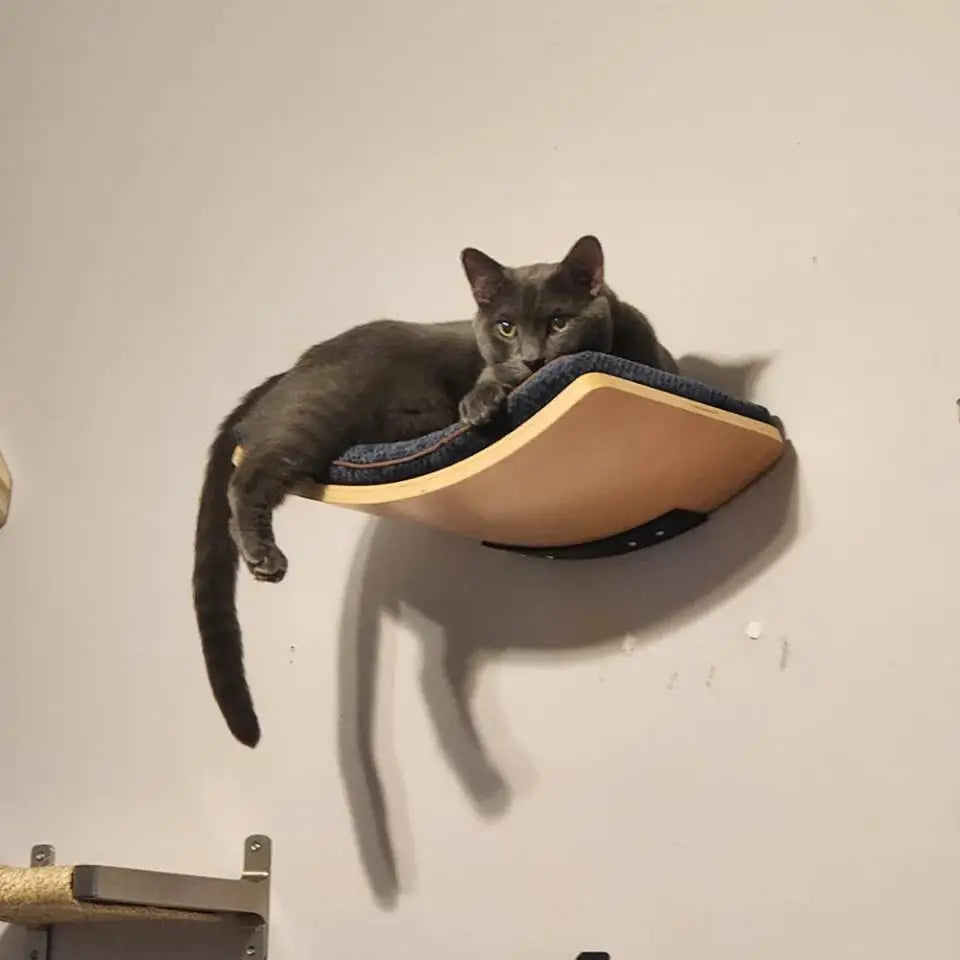 Wall Mounted Shelf Bed with Soft Cushion